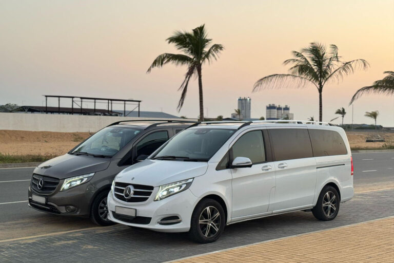 benz van 3