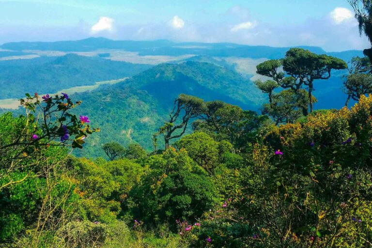 nuwara 2