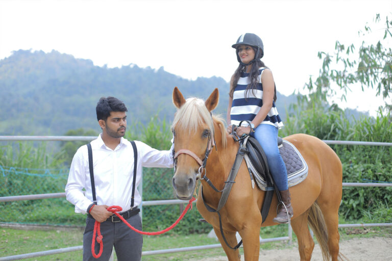 nuwara 3